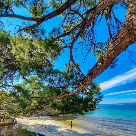 Christos Family Pachis Beach-glyfoneri Tatil Evi